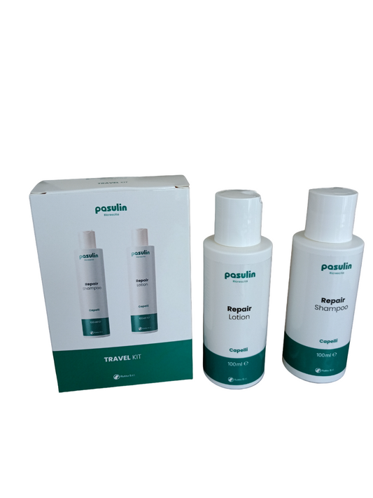 Pasulin KIT Repair - Travel