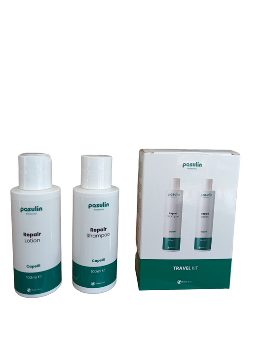 Pasulin KIT Repair - Travel