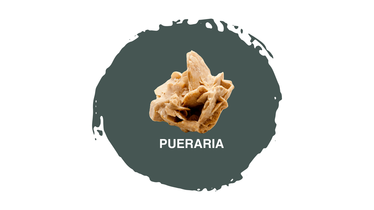 Pasulin Plus - Suplemento Capilar