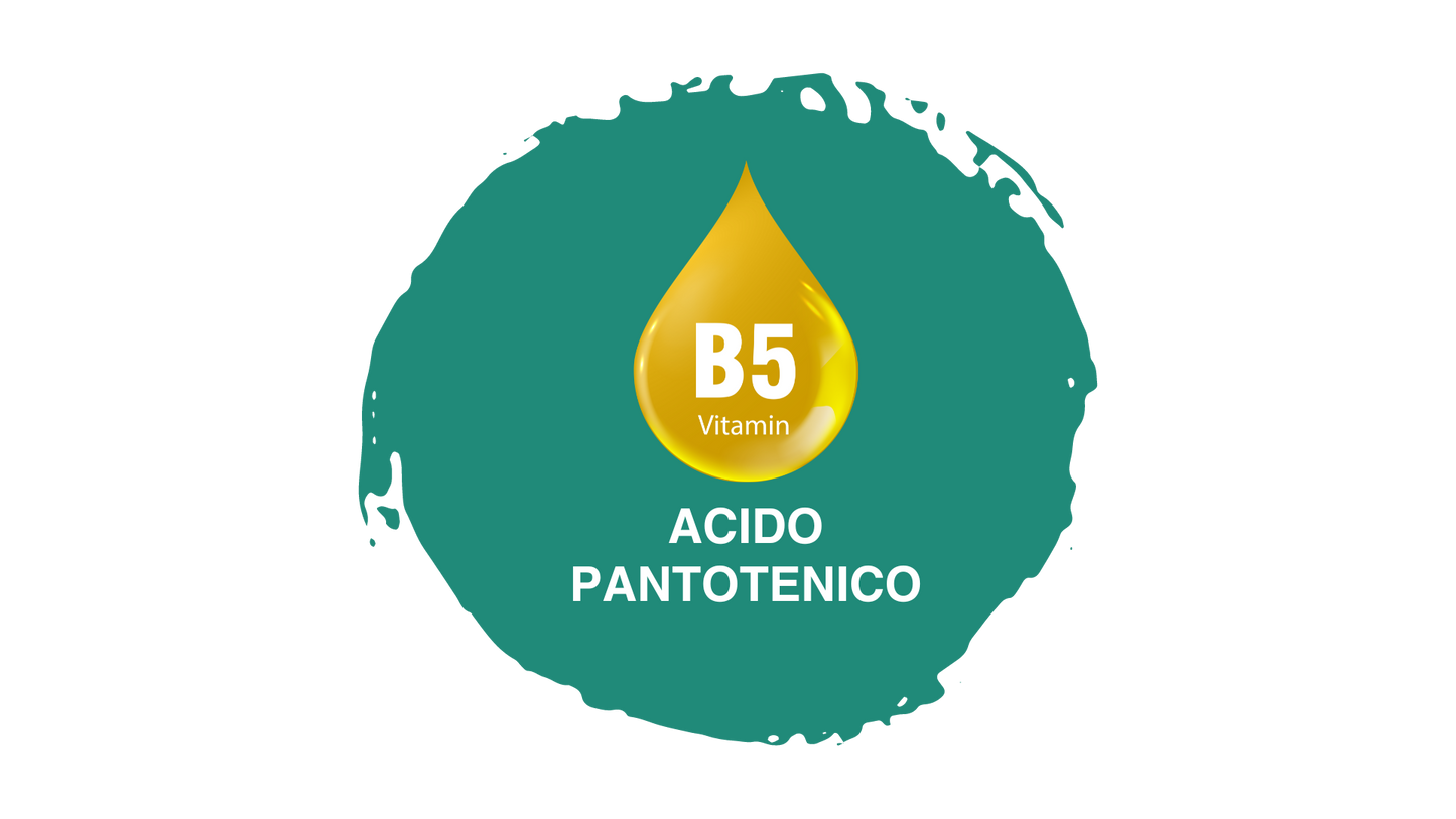 Pasulin Suplemento Capilar