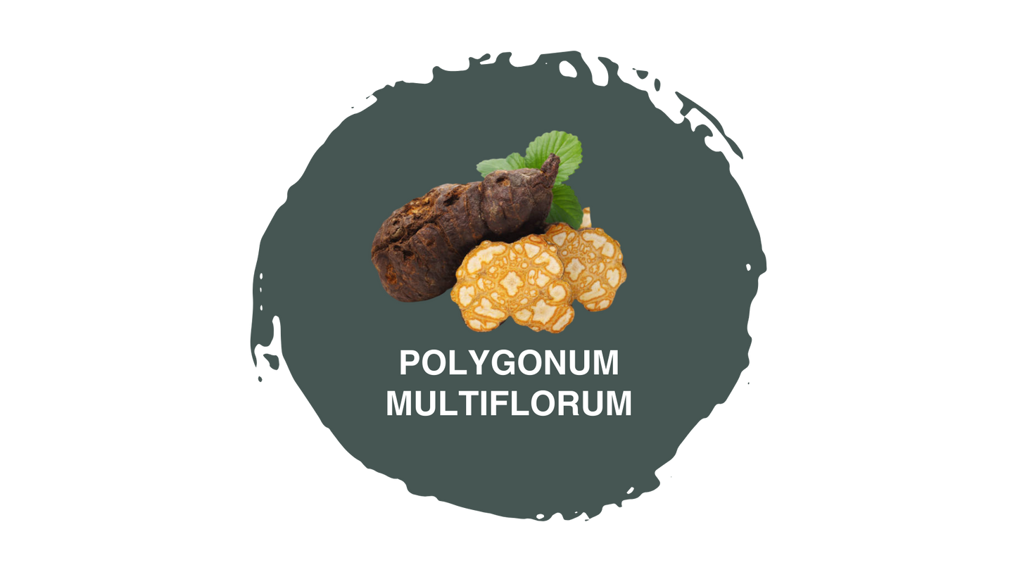 Pasulin Plus - Suplemento Capilar
