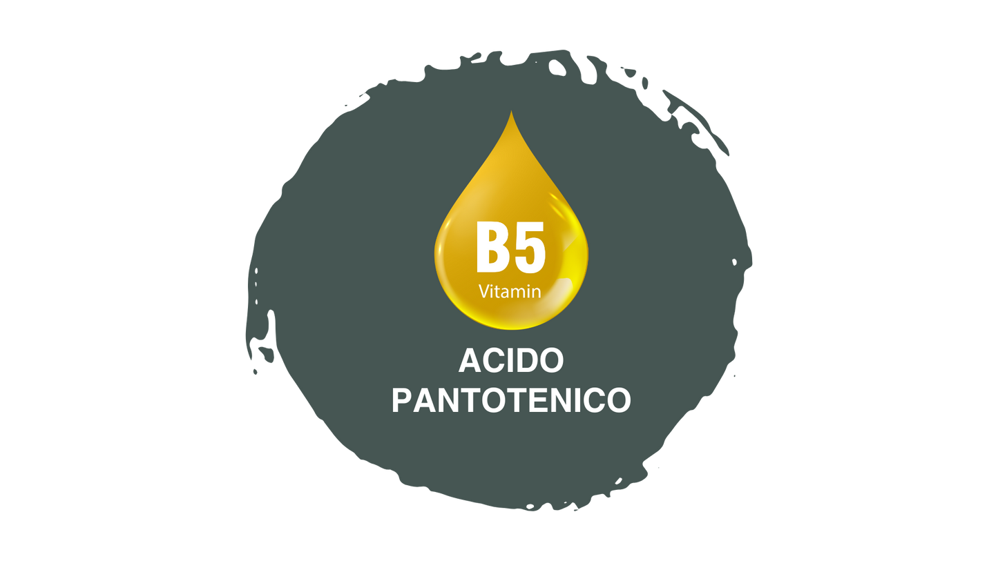 Pasulin Plus - Suplemento Capilar