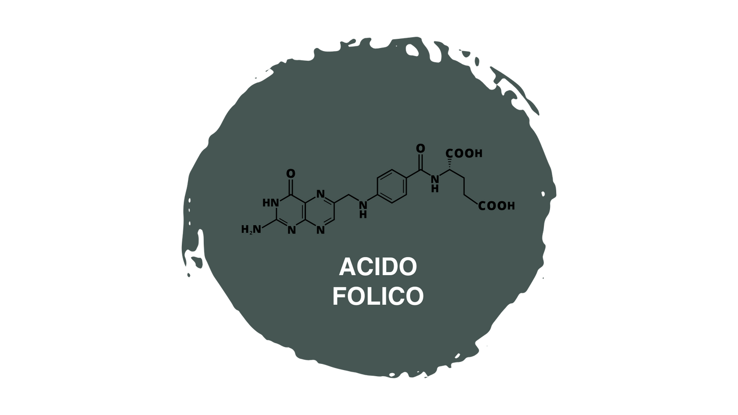 Pasulin Plus - Suplemento Capilar
