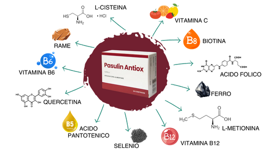 Pasulin Antiox - Suplemento Capilar