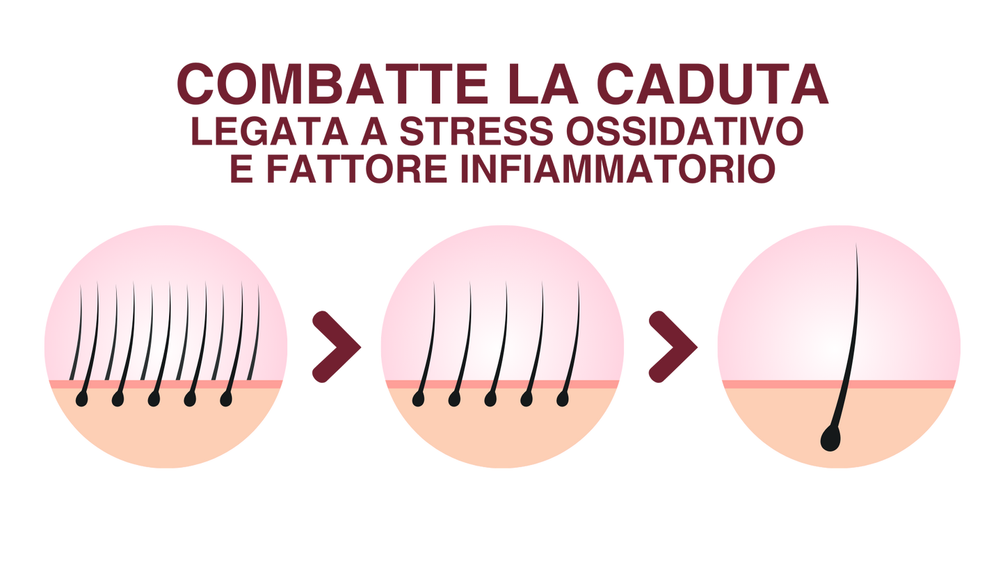 Pasulin Antiox - Suplemento Capilar
