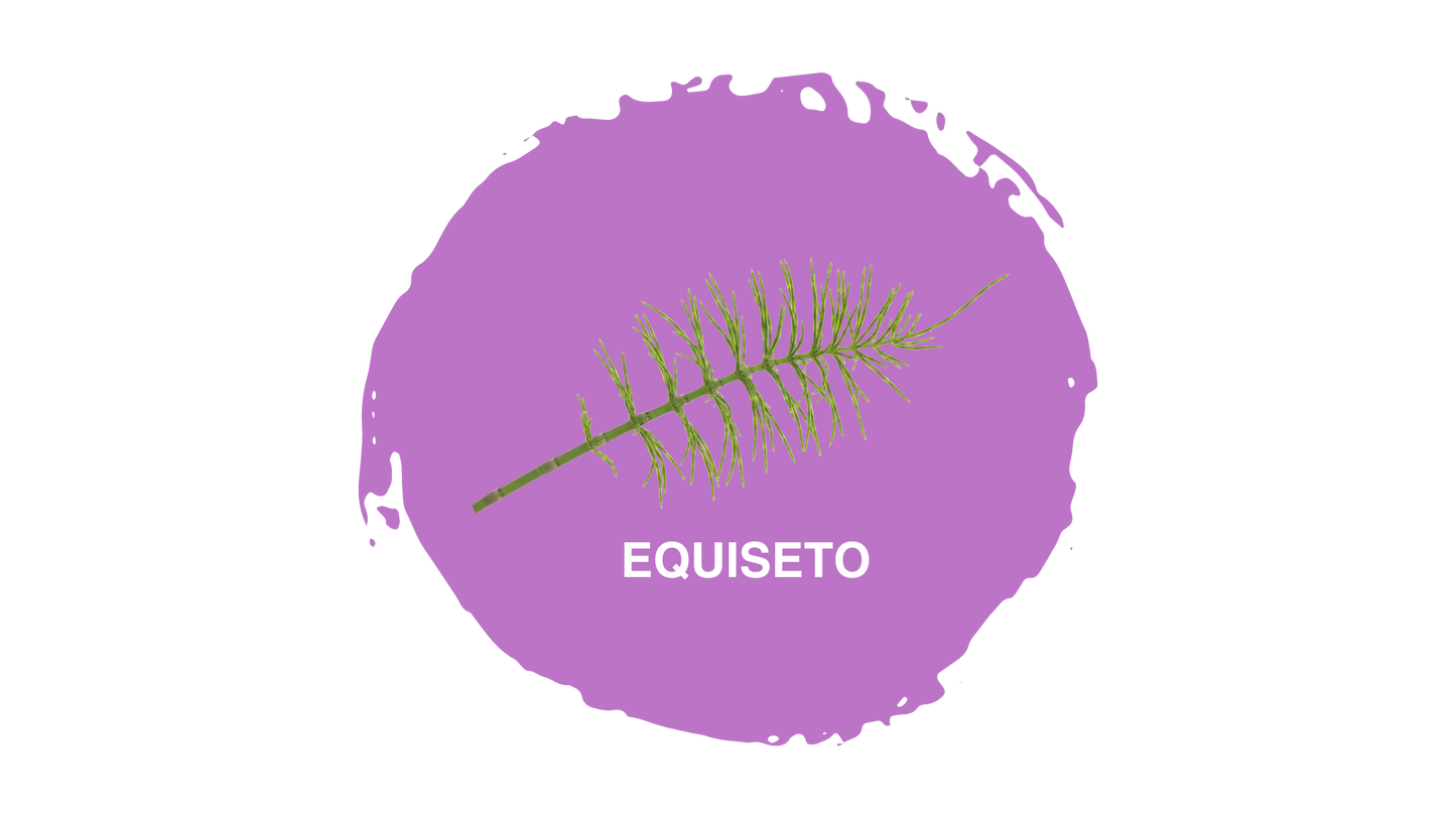 Pasulin Ladies - Suplemento Capilar para Mujeres